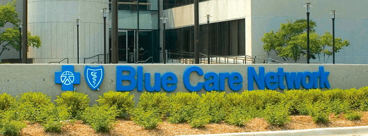 2019 Blue Care Network Annual Financial Statement